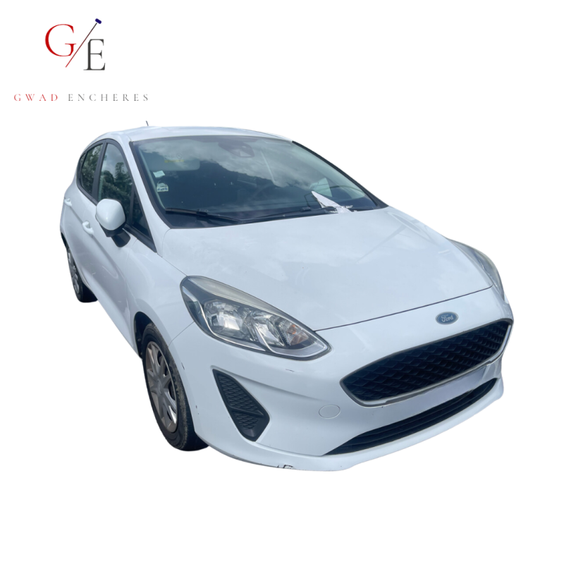 05 - FORD FIESTA - 298